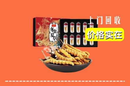 温州市龙港回收冬虫夏草
