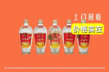 温州市龙港回收老五粮液